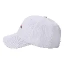 PU253ptgxG.webp